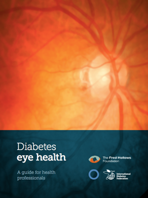 The Diabetes Eye Health Guide