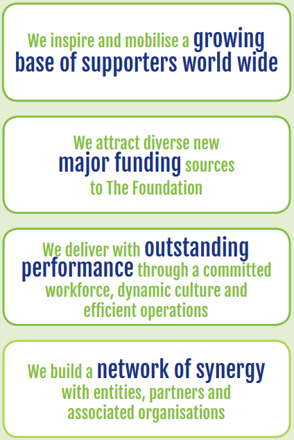 FHF strategy | Our strategic goals to drive our success