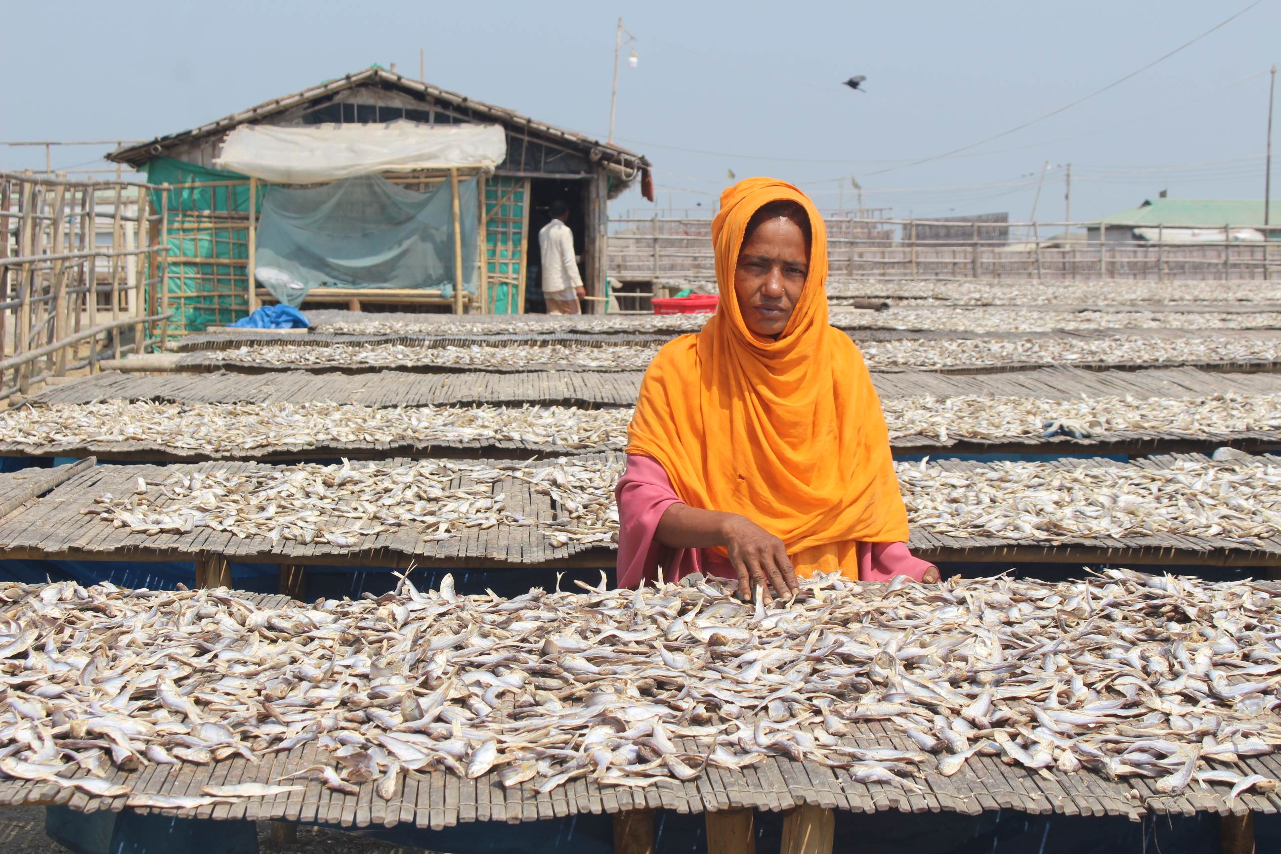 A photo of Laila, a 35 year old widow with two sons, sorting dried fish. Avoidable blindness challenged her ability to keep working and supporting her sons. 