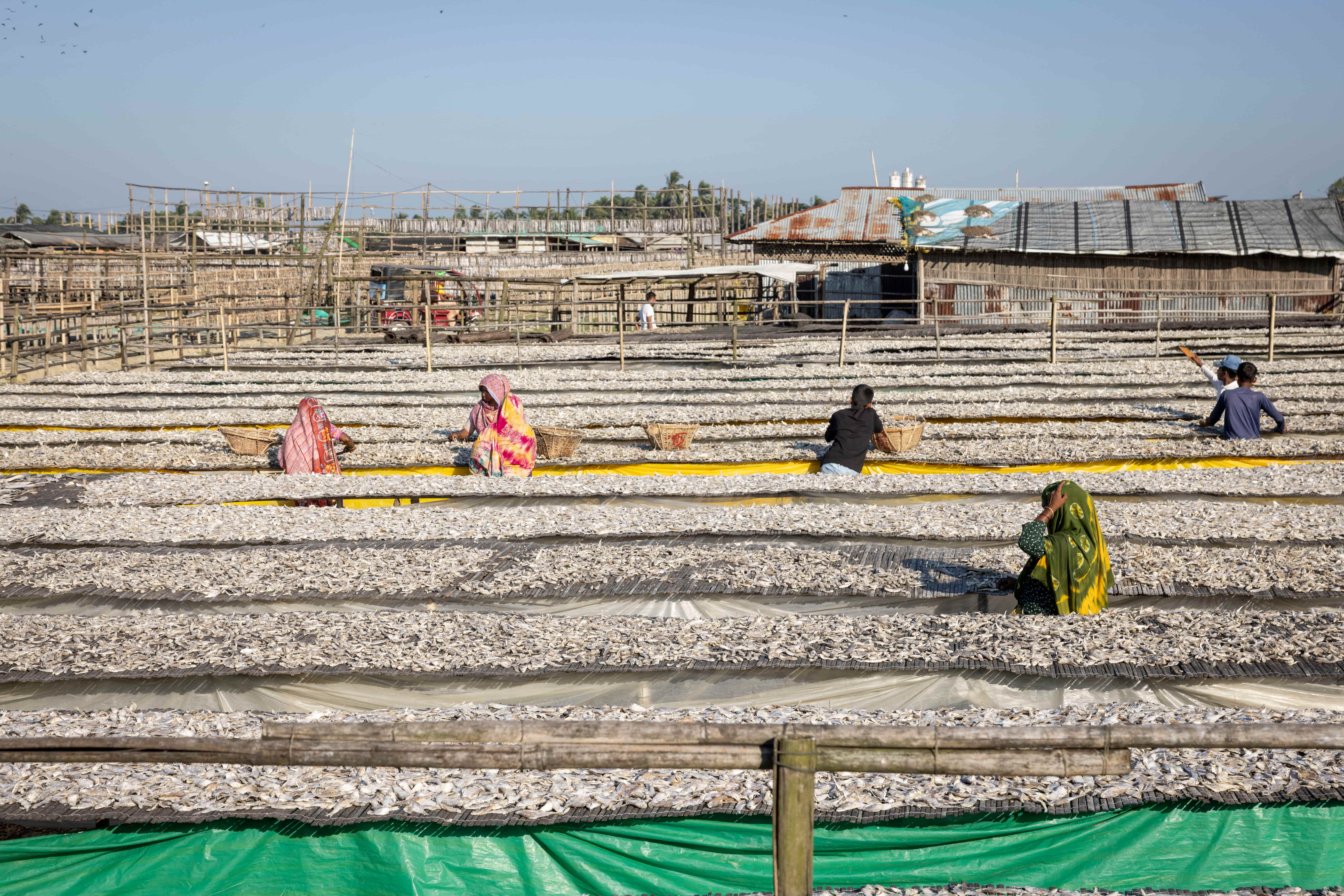 Women make up most of the workforce at Bangladesh&rsquo;s Nazirartek Dry Fish Hub, where long hours and concerns about losing work can make it difficult to seek care for vision problems.