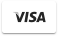 Visa-light.png