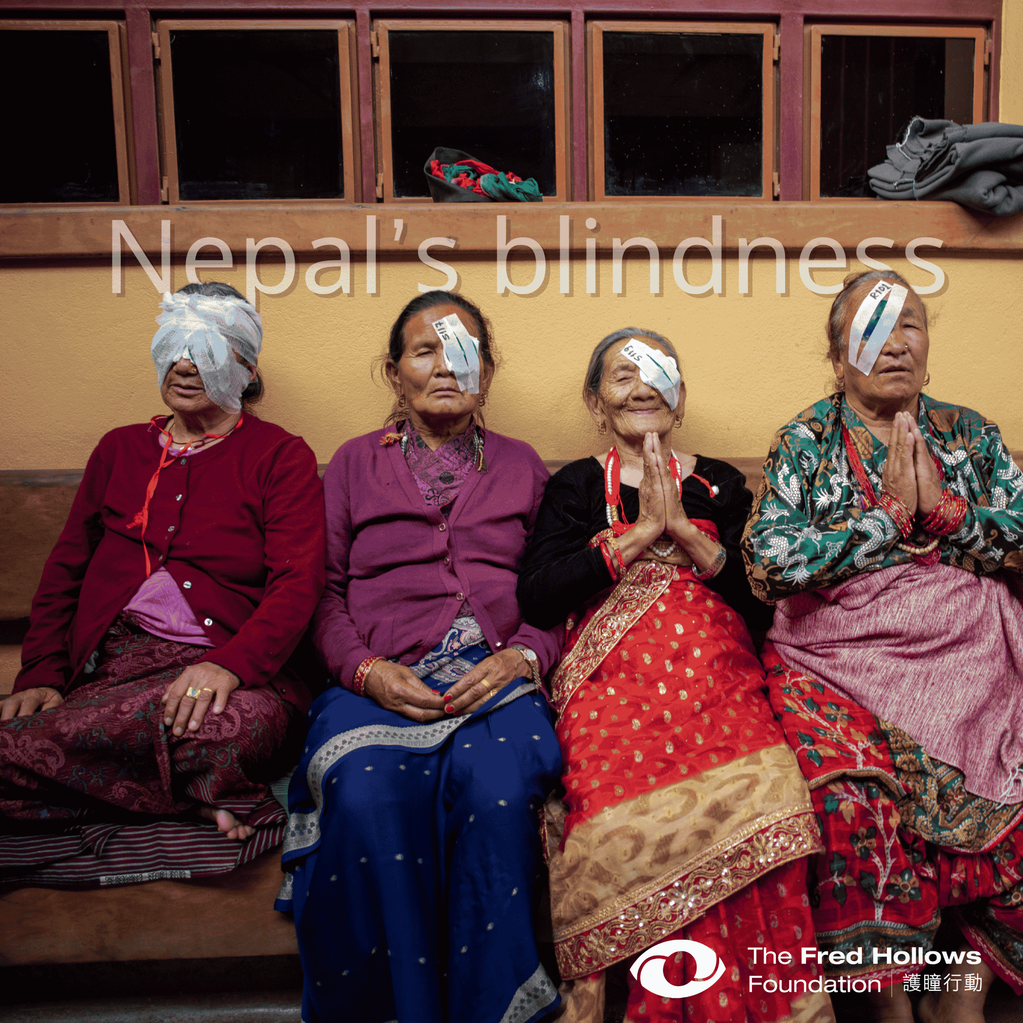 nepal_blindness_en.png